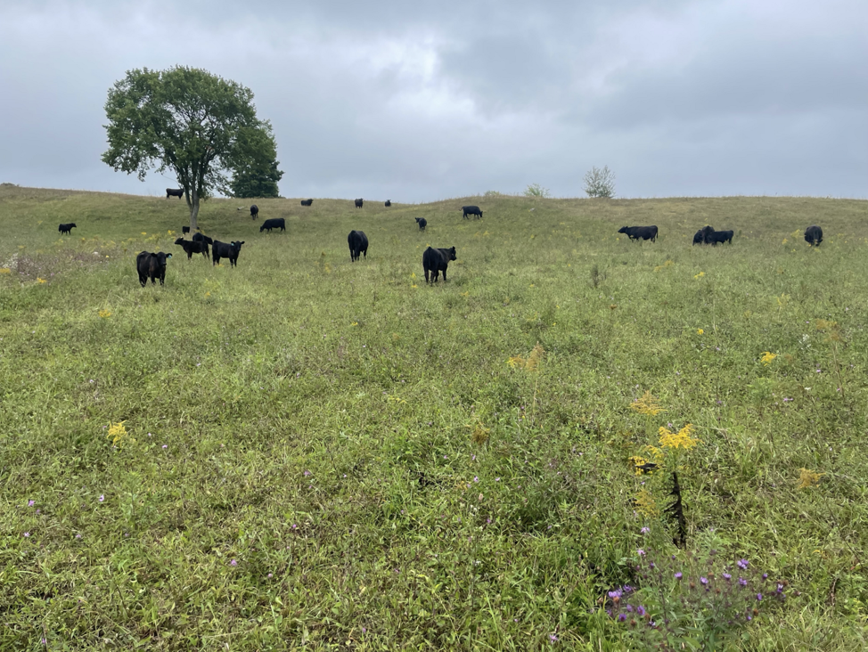 The Importance of Farm-to-Table in Our Food System