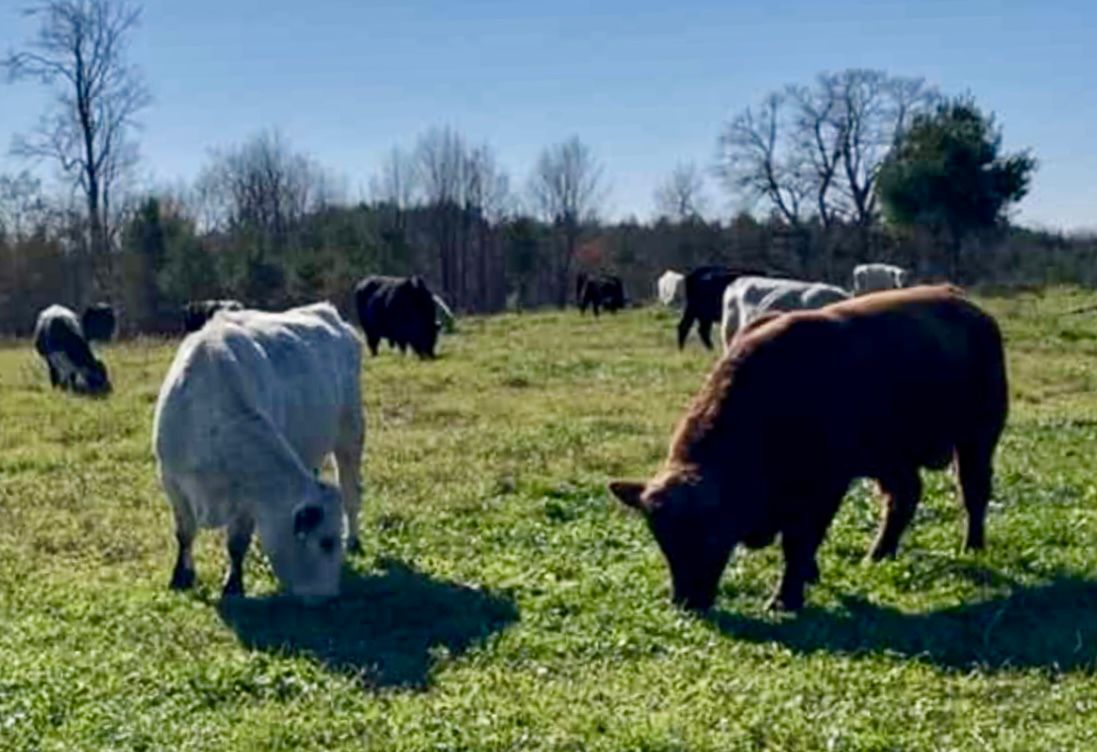 How We Wrap Up the Grazing Season Each Fall